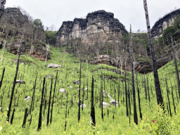 Pravčická brána / Prebischtor
